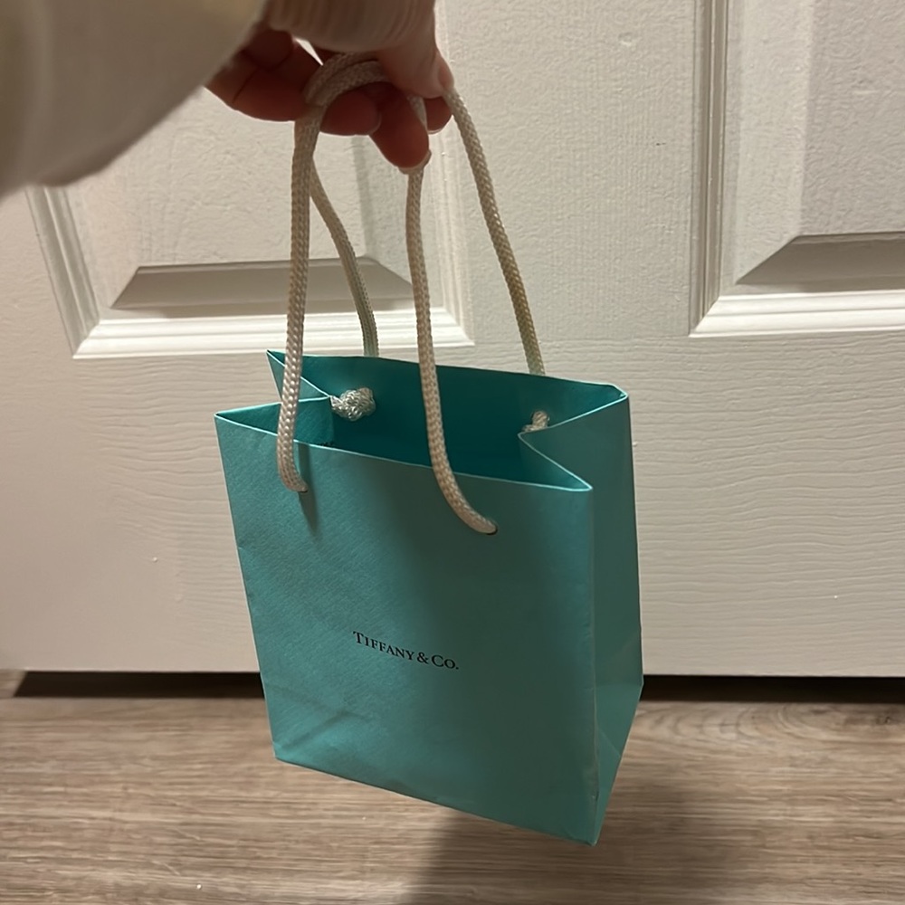 Tiffany & Co shopping bag